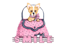 одежда и аксессуары